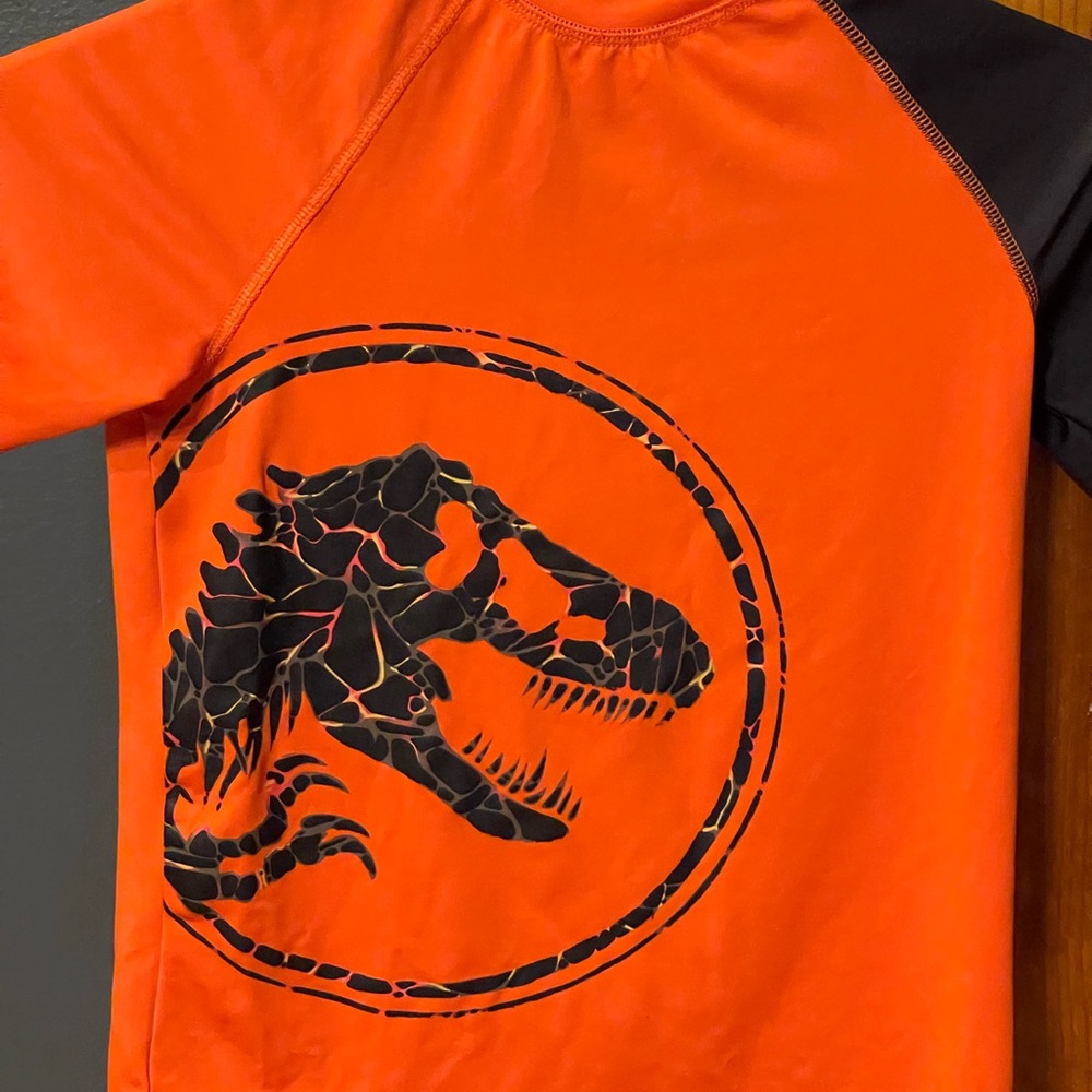 Boys Jurassic World swim trunks and swim shirt. Both are in great condition.